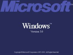 Windows 3.0x
