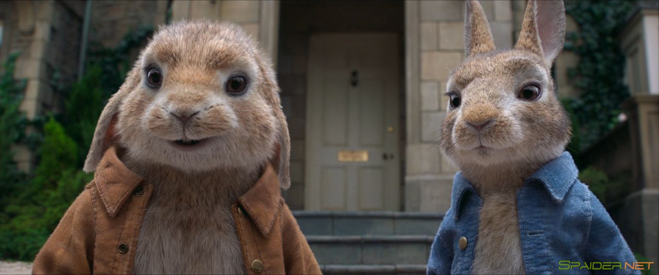 Кролик Питер / Peter Rabbit (2018) BDRip 1080p &#124; iTunes 2