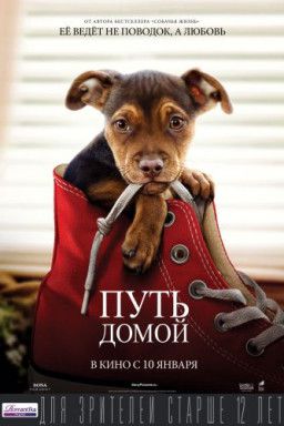 Путь домой / A Dog&#39;s Way Home (2019) CAMRip 720p