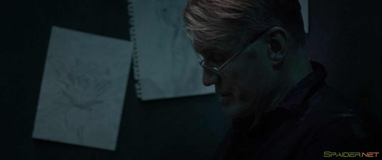 Чёрные воды / Black Water (2018) BDRip 1080р &#124; L2 0