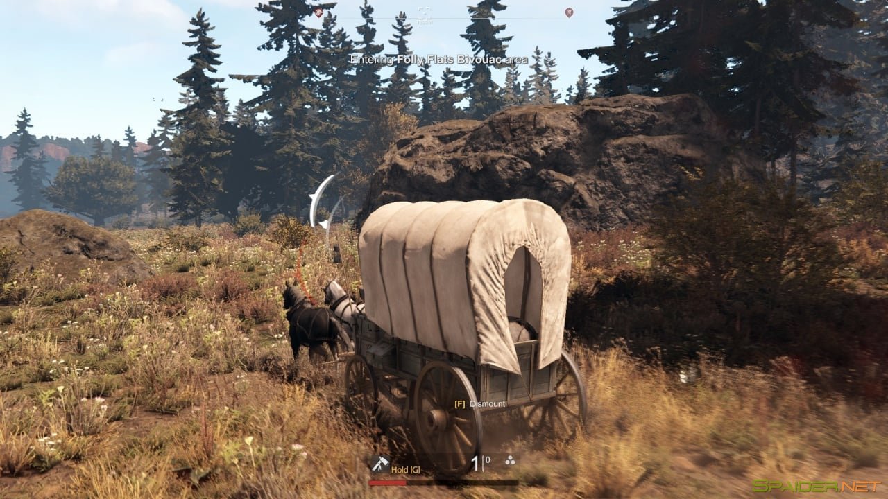 This Land Is My Land 1