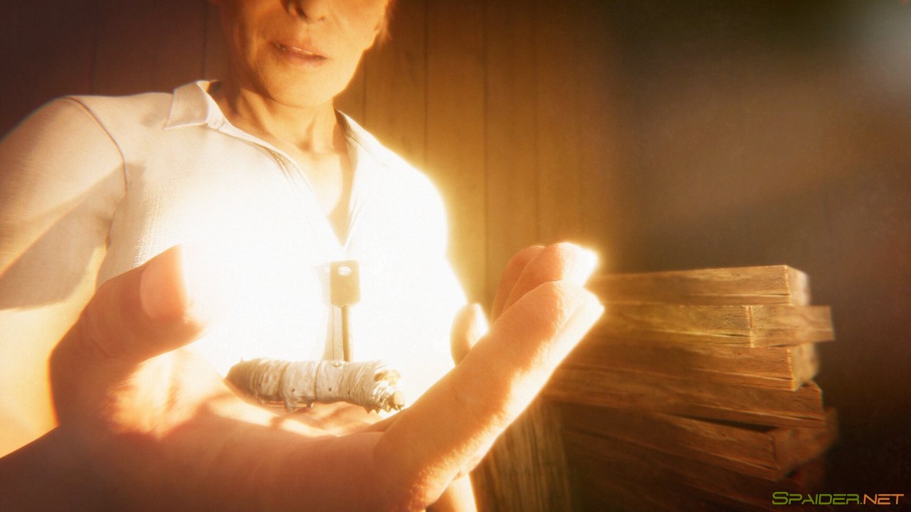 Hollow Cocoon 1 Hollow Cocoon 1