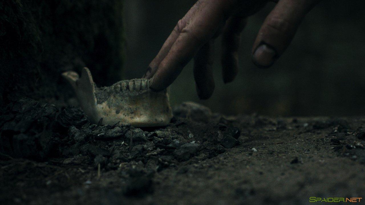 Heart of the Forest 3 Heart of the Forest 3