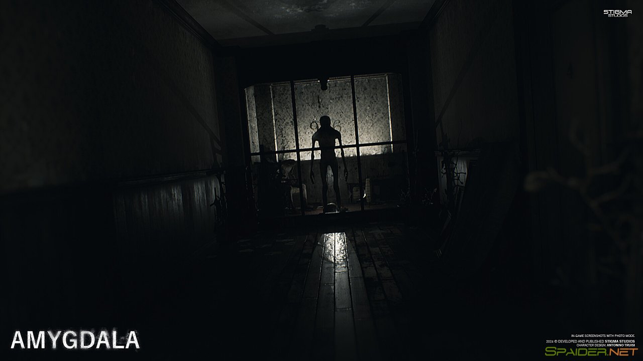 Amygdala 2 Amygdala 2