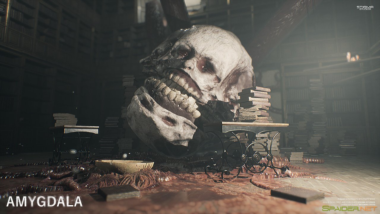 Amygdala 3 Amygdala 3