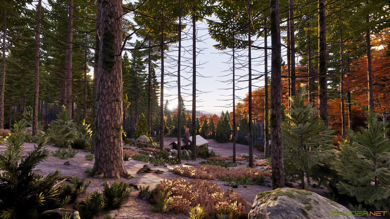 Prologue: Go Wayback! 2 Prologue: Go Wayback! 2