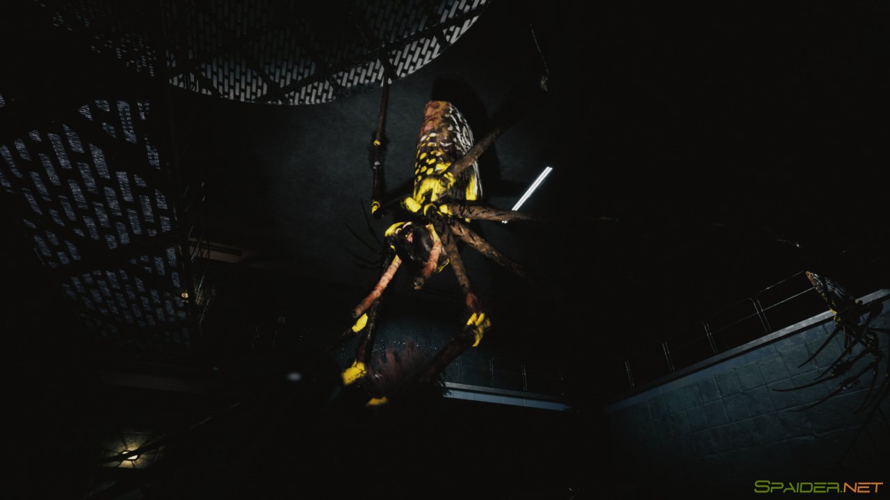 Huntsman 2 Huntsman 2