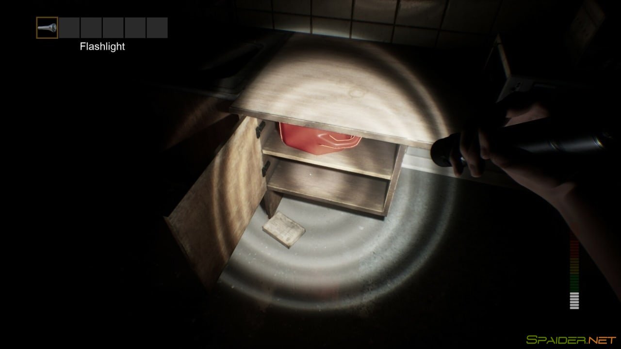 PANICORE 0 PANICORE 0