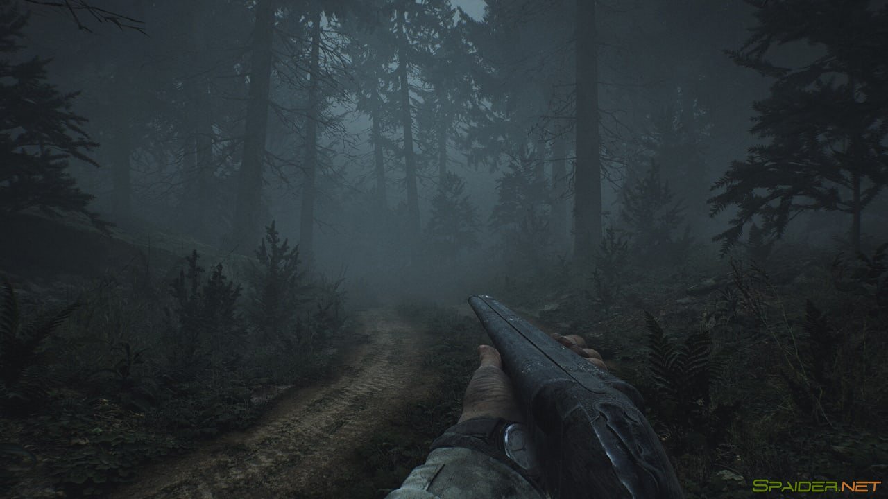 Pine Harbor 2 Pine Harbor 2